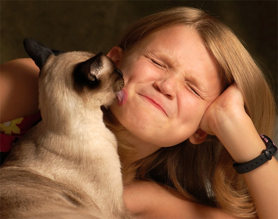 رهاب الحب والخوف من النساء.. أنواع فوبيا غريبة قد نعاني منها دون علمنا صورة رقم 3 رهاب الحب والخوف من النساء.. أنواع فوبيا غريبة قد نعاني منها دون علمنا صورة رقم 3