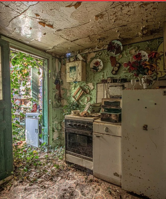 صور وفيديو : رجل يكتشف منزلاً مهجوراً مستوحى من القصص الخيالية صورة رقم 1