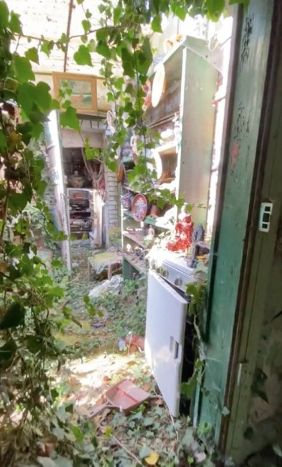 صور وفيديو : رجل يكتشف منزلاً مهجوراً مستوحى من القصص الخيالية صورة رقم 8