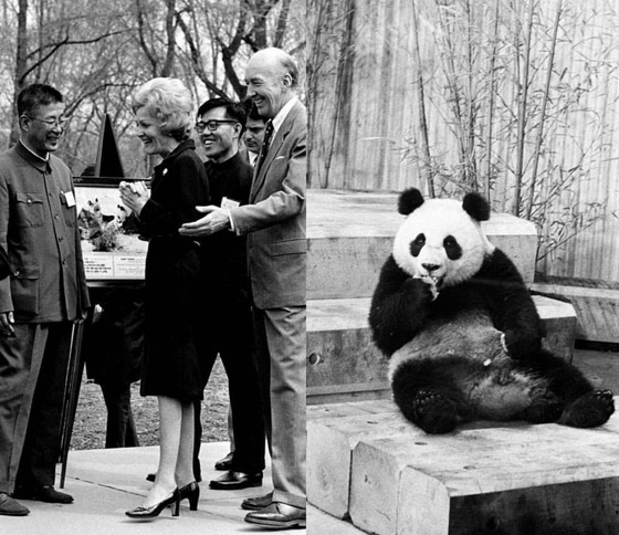 صور: أغرب هدايا تلقاها الرؤساء.. بغل وأفيال وسحلية وباندا وزيت زيتون فلسطيني صورة رقم 5