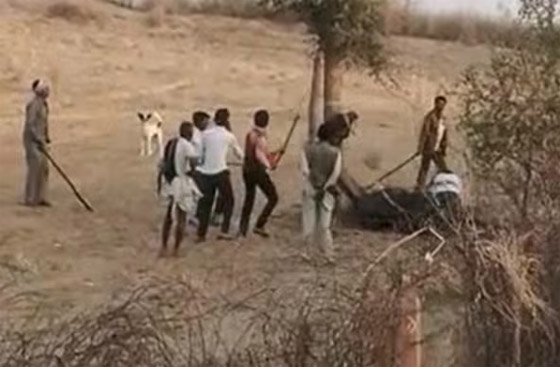 6 اشخاص في الهند ينتقمون بشكل وحشي من جمل!! ماذا حدث؟ صور.. صورة رقم 2 6 اشخاص في الهند ينتقمون بشكل وحشي من جمل!! ماذا حدث؟ صور.. صورة رقم 2