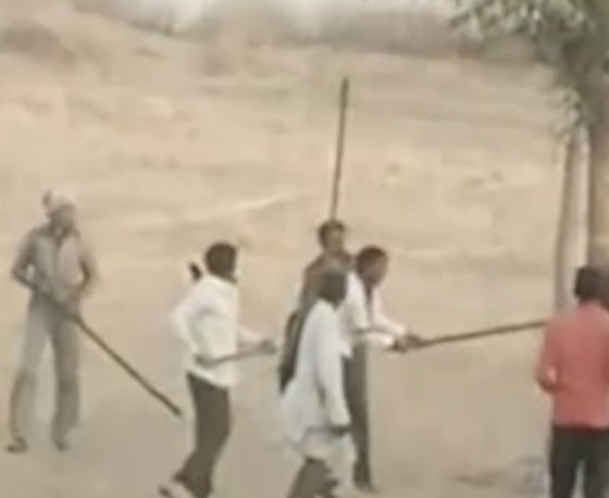 6 اشخاص في الهند ينتقمون بشكل وحشي من جمل!! ماذا حدث؟ صور.. صورة رقم 4 6 اشخاص في الهند ينتقمون بشكل وحشي من جمل!! ماذا حدث؟ صور.. صورة رقم 4