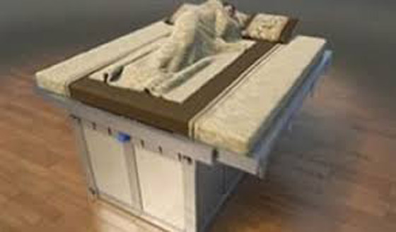 مأساة تركيا وسوريا تحيي فكرة السرير المقاوم للزلازل صورة رقم 2