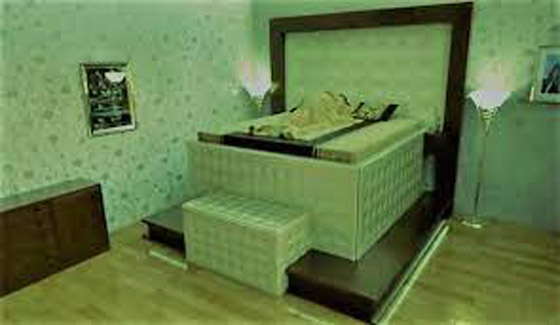 مأساة تركيا وسوريا تحيي فكرة السرير المقاوم للزلازل صورة رقم 12