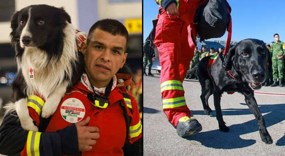 388 كلبا من 47 دولة أنقذوا 74 شخصا في كهرمان مرعش وحدها! صورة رقم 3 388 كلبا من 47 دولة أنقذوا 74 شخصا في كهرمان مرعش وحدها! صورة رقم 3