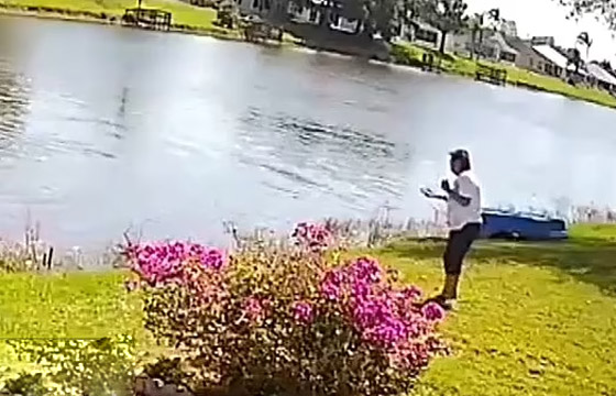 فيديو: لقطات مرعبة لتمساح بطول 10 أقدام يسحب مسنة للبحيرة ويلتهمها! صورة رقم 5 فيديو: لقطات مرعبة لتمساح بطول 10 أقدام يسحب مسنة للبحيرة ويلتهمها! صورة رقم 5