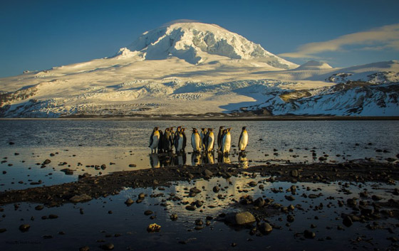 كهف عمره 17 ألف عام.. إليكم 7 أماكن حول العالم محظورة على البشر صورة رقم 3