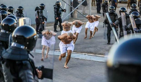 صور مخيفة لوشوم على أجساد آلاف السجناء في السلفادور صورة رقم 7