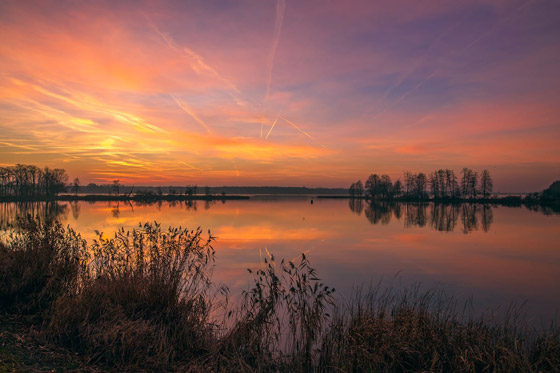 بالصور: ما هي أجمل الأماكن السياحية في وارسو بولندا؟ صورة رقم 4 بالصور: ما هي أجمل الأماكن السياحية في وارسو بولندا؟ صورة رقم 4