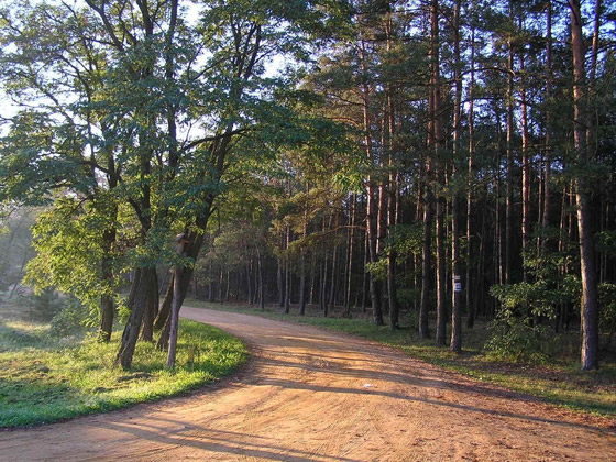 بالصور: ما هي أجمل الأماكن السياحية في وارسو بولندا؟ صورة رقم 5 بالصور: ما هي أجمل الأماكن السياحية في وارسو بولندا؟ صورة رقم 5