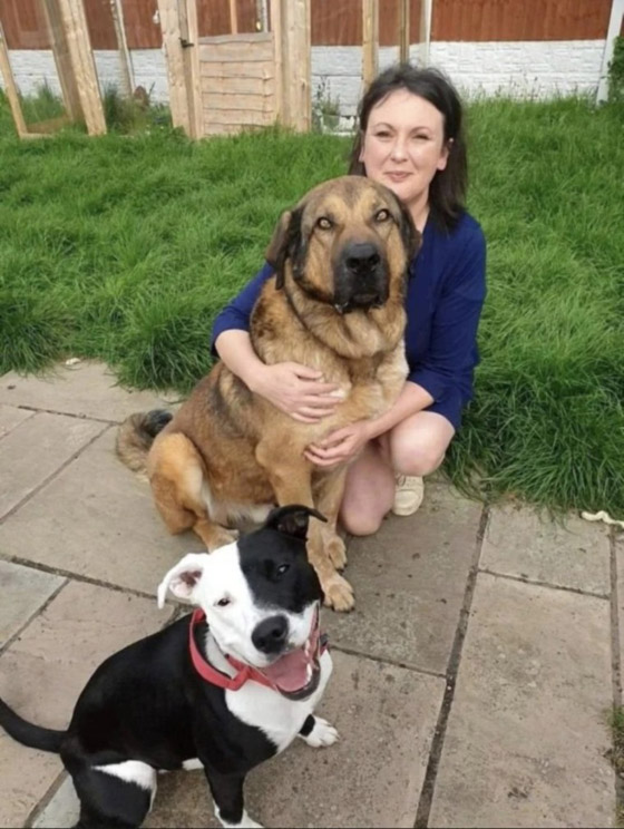 صور : الكلب الإنفلوسر الأكثر شهرة في العالم صورة رقم 7