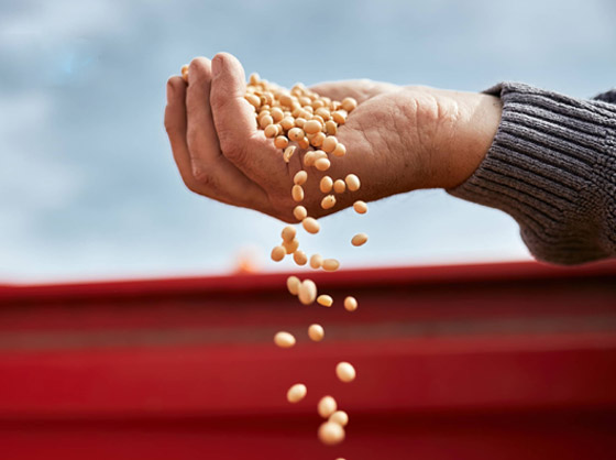 الذكاء الاصطناعي قد يجنب العالم أزمات غذائية.. تنبأ بتفشي انعدام الأمن الغذائي صورة رقم 2