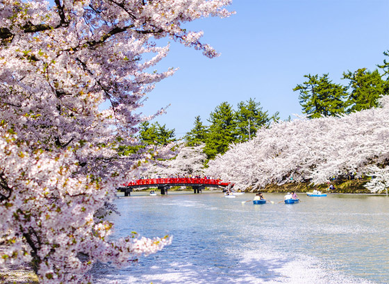 لرؤية تفتح الأزهار والنشاطات بالهواء الطلق.. 3 وجهات سياحية ربيعية مثالية صورة رقم 1