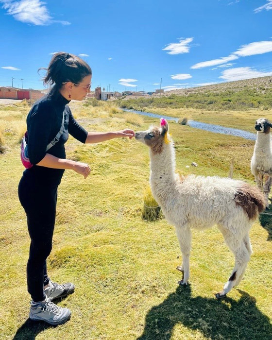 بريطانيان يسافران إلى 14 دولة بـ