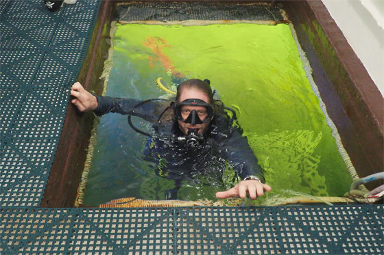 رجل يخوض تجربة الحياة تحت الماء.. يواصل التحدي حتى اليوم الـ100 صورة رقم 11 رجل يخوض تجربة الحياة تحت الماء.. يواصل التحدي حتى اليوم الـ100 صورة رقم 11