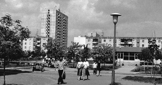 8 صور تاريخية تبدو طبيعية لكنها ذات خلفيات مؤلمة! صورة رقم 3