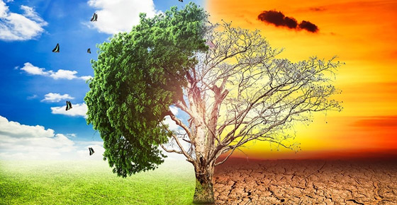 حرارة الأرض ترتفع.. و7 سنوات تفصلنا عن حرارة الأرض ترتفع.. و7 سنوات تفصلنا عن