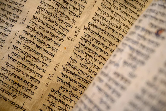 بالصور.. عرض أقدم مخطوطة للكتاب المقدس اليهودي صورة رقم 6 بالصور.. عرض أقدم مخطوطة للكتاب المقدس اليهودي صورة رقم 6