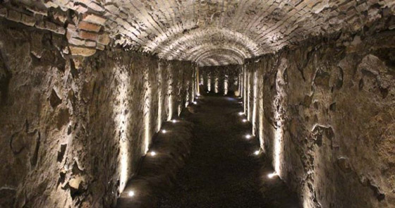 8 أساطير غريبة وغير منطقية تبيّن أنها حقيقية! صورة رقم 2