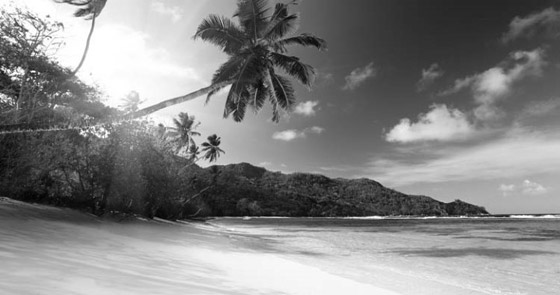 8 أساطير غريبة وغير منطقية تبيّن أنها حقيقية! صورة رقم 4