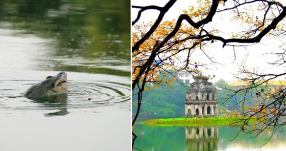 8 أساطير غريبة وغير منطقية تبيّن أنها حقيقية! صورة رقم 8