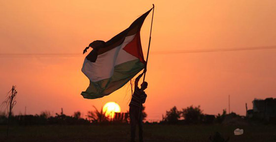 في صور.. الصراع الإسرائيلي الفلسطيني خلال العقود الأخيرة صورة رقم 12 في صور.. الصراع الإسرائيلي الفلسطيني خلال العقود الأخيرة صورة رقم 12