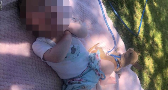 ولادة قيصرية تحت تهديد الشرطة في أستراليا صورة رقم 2