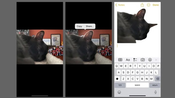 كيفية تحويل الصور إلى ستيكرات بأجهزة آي فون صورة رقم 1