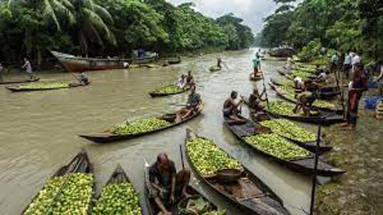 لماذا السنة في بنغلاديش ستة فصول بدلًا من أربعة؟ صورة رقم 2