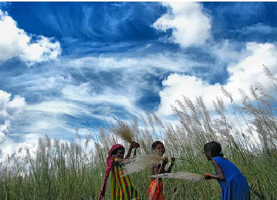 لماذا السنة في بنغلاديش ستة فصول بدلًا من أربعة؟ صورة رقم 5