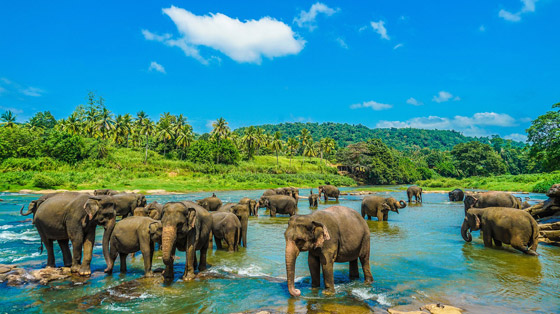 للمسافرين: جولة على 5 وجهات سياحية جذابة في أبريل (نيسان) 2023 صورة رقم 4 للمسافرين: جولة على 5 وجهات سياحية جذابة في أبريل (نيسان) 2023 صورة رقم 4