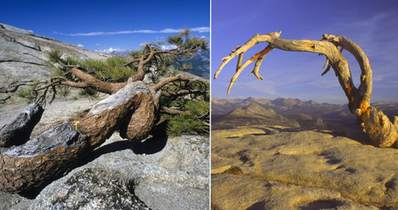 عجائب طبيعية شهيرة لم تعد موجودة! صورة رقم 4