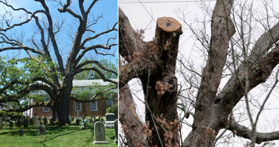 عجائب طبيعية شهيرة لم تعد موجودة! صورة رقم 10