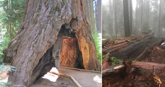 عجائب طبيعية شهيرة لم تعد موجودة! صورة رقم 11