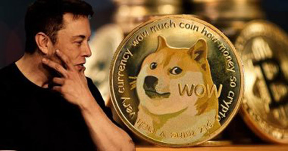 بعد تغيير صورة الطائر لكلب.. هل تصبح التغريدة نباحاً؟ صورة رقم 2