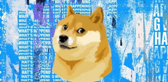 بعد تغيير صورة الطائر لكلب.. هل تصبح التغريدة نباحاً؟ صورة رقم 3