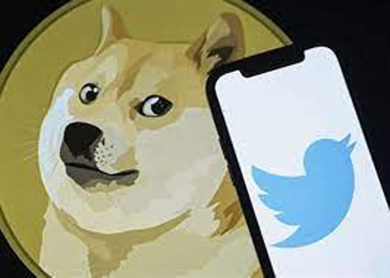 بعد تغيير صورة الطائر لكلب.. هل تصبح التغريدة نباحاً؟ صورة رقم 6