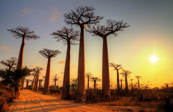 صور: جولة على أجمل الأماكن السياحية المناسبة للعوائل في مدغشقر صورة رقم 2