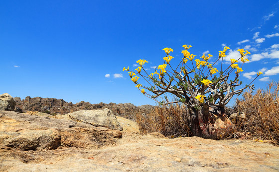 صور: جولة على أجمل الأماكن السياحية المناسبة للعوائل في مدغشقر صورة رقم 4