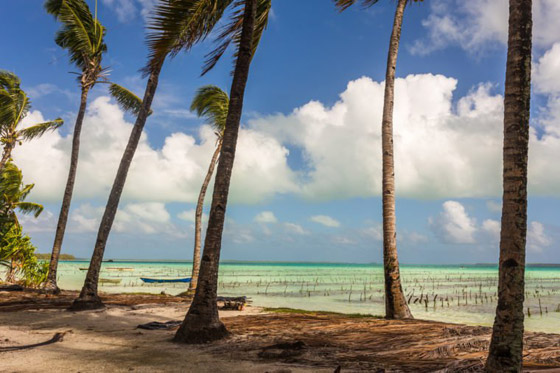 جزر في طريقها للاختفاء عن سطح الأرض! صورة رقم 8 جزر في طريقها للاختفاء عن سطح الأرض! صورة رقم 8