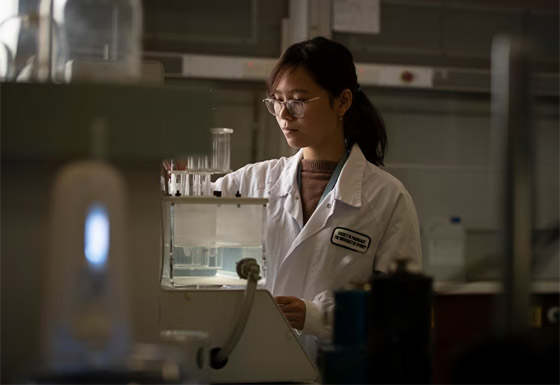 علماء يطورون نسخة شبيهة بالرئة البشرية.. يطالبون بالتوقف عن إجراء التجارب على الحيوانات صورة رقم 6