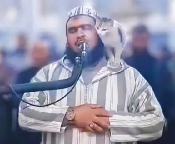فيديو لرقص مع شقراء.. إشاعة جديدة تطال الشيخ الجزائري صورة رقم 3 فيديو لرقص مع شقراء.. إشاعة جديدة تطال الشيخ الجزائري صورة رقم 3