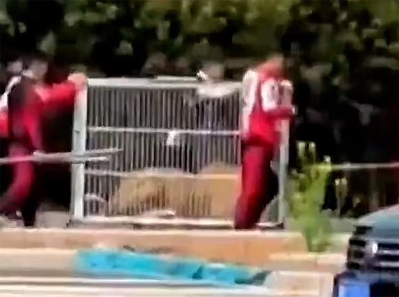 حالة من الذعر.. فرار أسدين من سيرك صيني أثناء العرض! صورة رقم 9 حالة من الذعر.. فرار أسدين من سيرك صيني أثناء العرض! صورة رقم 9