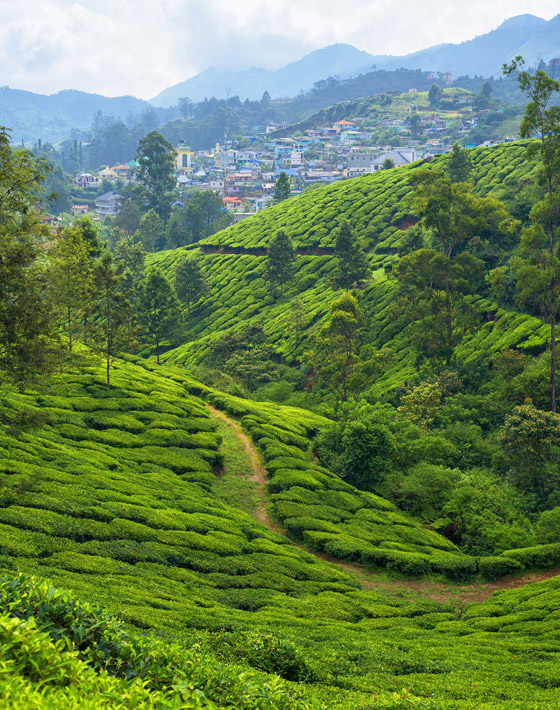بالصور: جولة على 5 وجهات رومانسية حول العالم جاذبة للأزواج صورة رقم 3