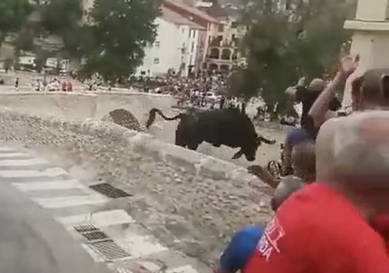 حشود هاربة من ثور هائج.. والحيوان الخائف ينتحر من علو 50 قدما! صورة رقم 1 حشود هاربة من ثور هائج.. والحيوان الخائف ينتحر من علو 50 قدما! صورة رقم 1