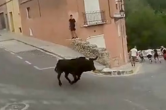 حشود هاربة من ثور هائج.. والحيوان الخائف ينتحر من علو 50 قدما! صورة رقم 2 حشود هاربة من ثور هائج.. والحيوان الخائف ينتحر من علو 50 قدما! صورة رقم 2