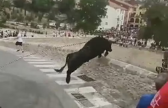 حشود هاربة من ثور هائج.. والحيوان الخائف ينتحر من علو 50 قدما! صورة رقم 3 حشود هاربة من ثور هائج.. والحيوان الخائف ينتحر من علو 50 قدما! صورة رقم 3