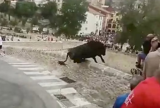 حشود هاربة من ثور هائج.. والحيوان الخائف ينتحر من علو 50 قدما! صورة رقم 4 حشود هاربة من ثور هائج.. والحيوان الخائف ينتحر من علو 50 قدما! صورة رقم 4