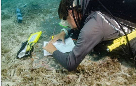 العثور على مقبرة تحت الماء في فلوريدا بعد 162 عاماً صورة رقم 1