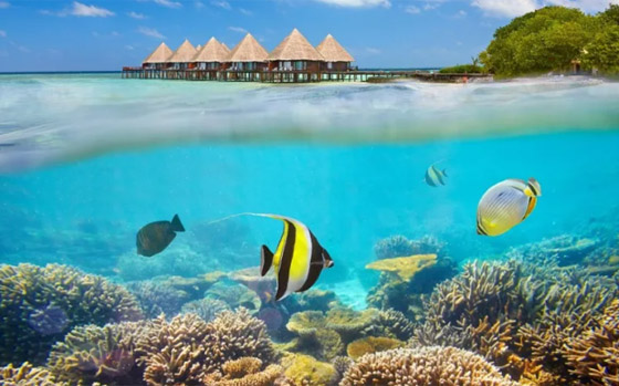 هذا المصير تنتظره جزر المالديف بحلول عام 2050! صورة رقم 6